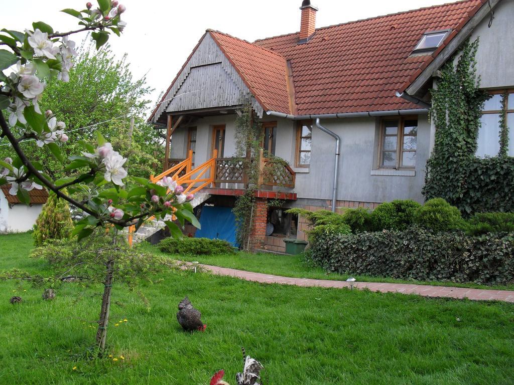 Hoffmann Vendeghaz Apartment Nagyrákos Cameră foto