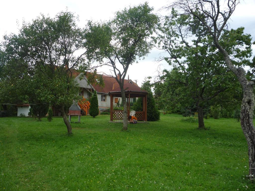 Hoffmann Vendeghaz Apartment Nagyrákos Cameră foto