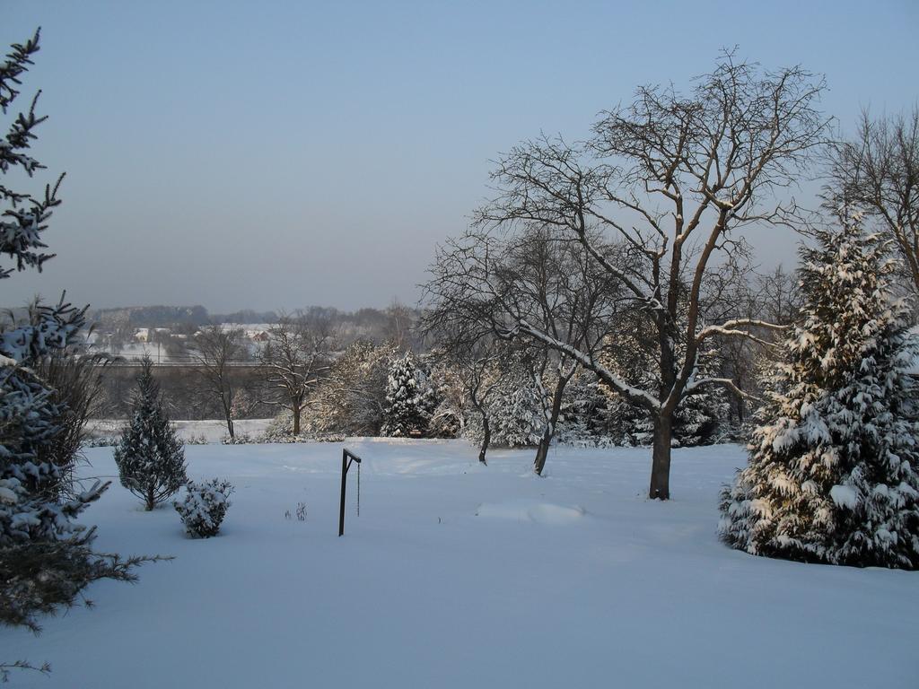 Hoffmann Vendeghaz Apartment Nagyrákos Cameră foto